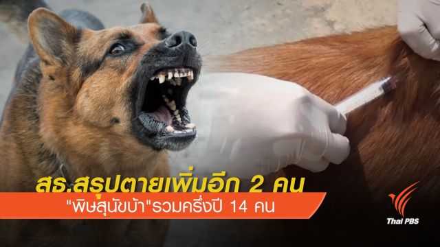 สธ.สรุปตายเพิ่มอีก 2 คน "พิษสุนัขบ้า"รวมครึ่งปี 14 คน