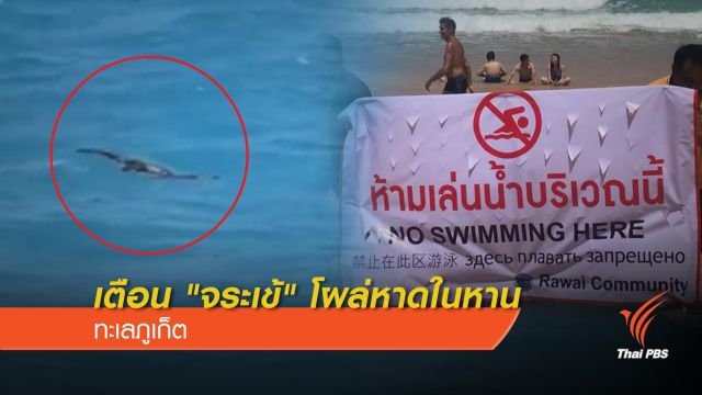 เตือน "จระเข้" โผล่หาดในหาน ทะเลภูเก็ต  