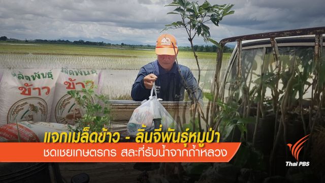 ชาวนา 19 คน ไม่รับการชดเชย ขอเป็นส่วนหนึ่งภารกิจช่วยเหลือ 13 คน 