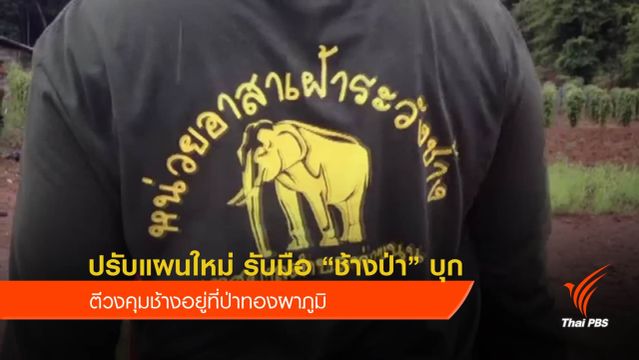 ปรับแผนใหม่ รับมือ “ช้างป่า” บุก - ตีวงคุมช้างอยู่ที่ป่าทองผาภูมิ