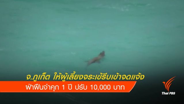 ภูเก็ต เตรียมออกประกาศให้ผู้เลี้ยงจระเข้แจ้งการครอบครอง ฝ่าฝืนจำคุก 1 ปี