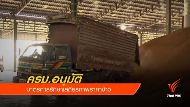 ครม.อนุมัติมาตรการรักษาเสถียรภาพราคาข้าว