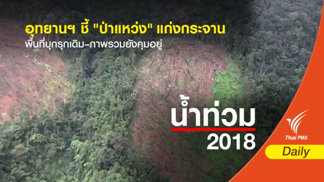 ชี้ภาพ "ป่าแหว่ง" แก่งกระจานเป็นพื้นที่บุกรุกเดิม