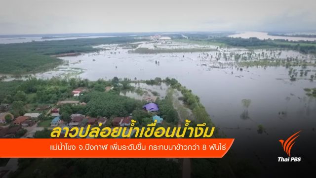 น้ำโขงบึงกาฬเพิ่มหลังลาวปล่อยน้ำในเขื่อน