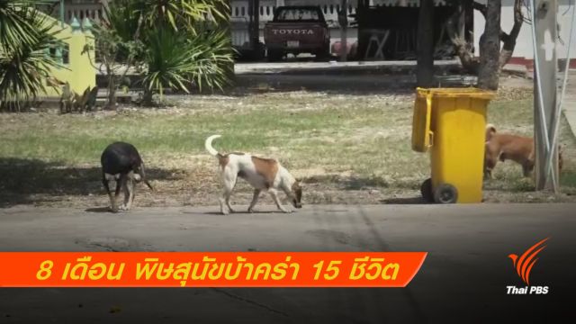 8 เดือน พิษสุนัขบ้าคร่า 15 ชีวิต  