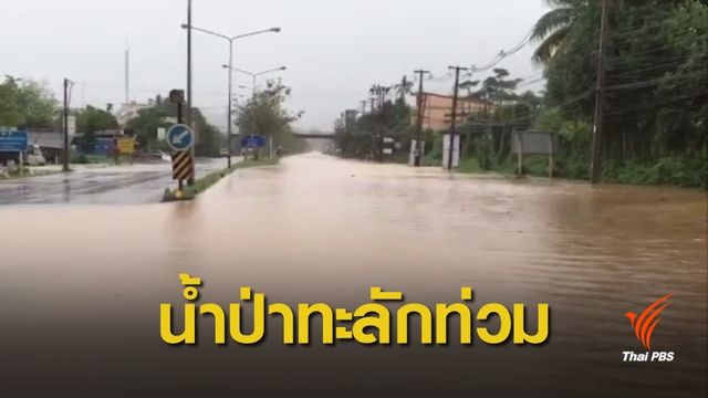  น้ำป่าเทือกเขาบรรทัดเข้าท่วม อ.นาโยง จ.ตรัง