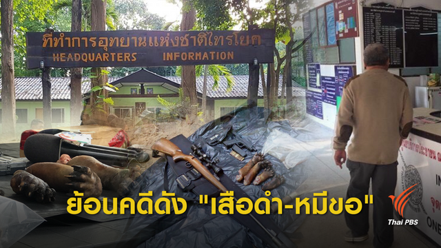 ย้อนรอยคดีดังปี'61 จากเสือดำ สู่คดีหมีขอ