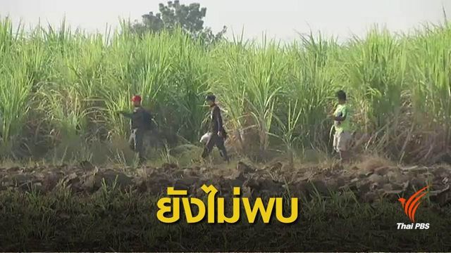 ปรับแผนค้นหาเด็กชาย 2 ขวบหายในไร่อ้อย จ.สุพรรณบุรี