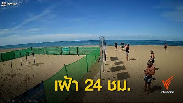 ไลฟ์ชีวิต "เต่ามะเฟือง" วางไข่ชายหาดคึกคัก