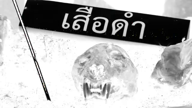 ข่าวเด่น 2561 : คดีเสือดำ สู่ คดีหมีขอ