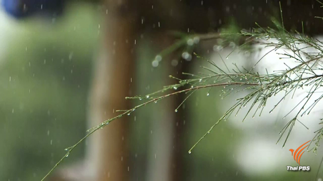 กรมอุตุฯ เตือนเหนือ-กลางฝนตกหนัก อากาศแปรปรวน