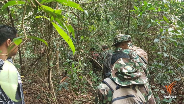 ปรับแผนลดพิกัดค้นหาช้างเขาอ่างฤาไนถูกรถชนบาดเจ็บ
