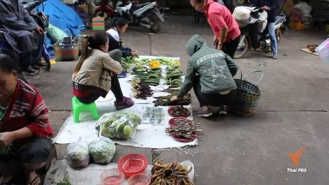 ตลาดค้าสัตว์ป่าเมืองท่าแขก ประเทศลาว ขัดแย้งลงนามอนุสัญญา "ไซเตส"