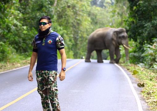 หมอล็อต "ผมอยู่เพื่อรักษาสัตว์ป่า ไม่ใช่รักษาภาพลักษณ์"