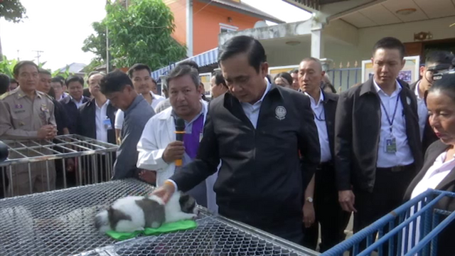 “ลูกหมาบางแก้ว”ของขวัญจากนายกฯ พ่นพิษราคาเกิน 3 พันบาท 