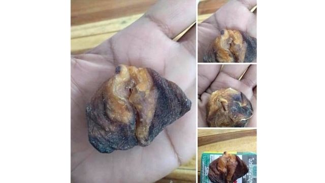 จนท.เร่งหามือโพสต์ประกาศขาย "อวัยวะเพศเสือดาว"  