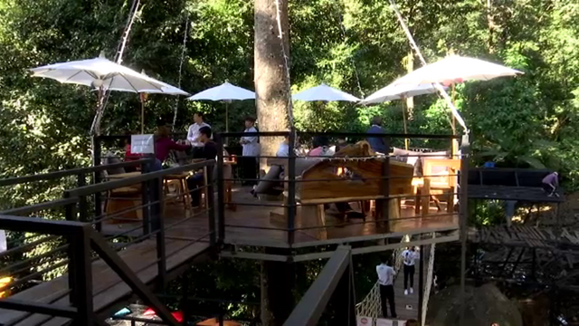 "ม่อนแจ่มซิปไลน์" ร้านกาแฟสุดชิล โดนฟ้องเพิ่มคดีแพ่งทำลาย สวล.