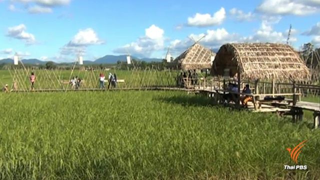 "ภูหลวงลูกลม" ร้านข้าวแกงพื้นบ้านกลางทุ่ง หนุนท่องเที่ยวตรัง