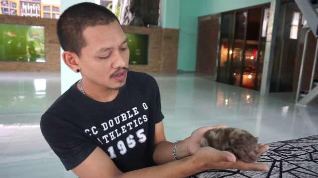 เจ้าของฟาร์มที่ชุมพร นัดรวมตัวแจ้งความเอาผิดหมอทารุณกรรมสุนัข