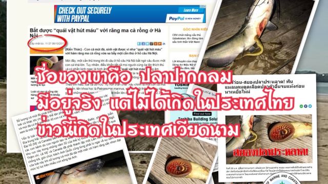 ทช.เผย “ปลาดูดเลือด” มีจริง แต่ไม่เจอในทะเลไทย