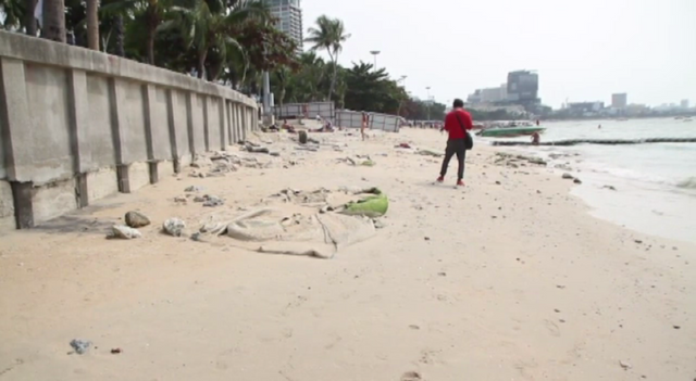 ชายหาดพัทยาเสื่อมโทรม พบซากสัตว์-ขยะมูลฝอยตลอดแนวกว่า 300 เมตร 