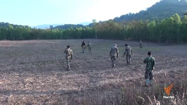 จนท.หาร่องรอยกระทิงหลงฝูง พบรอยเท้าหากินเขตชุมชน จ.เพชรบูรณ์