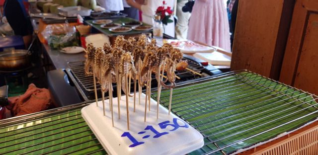 ผู้บริหารตลาดน้ำพัทยา "เลิกสัญญา" แผงขายม้าน้ำย่างทันที 