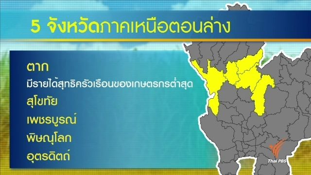 หลอกเกษตรกรปลูกอ้อยบนพื้นที่ไม่เหมาะสม ทำขาดทุน-ติดหนี้ซ้ำซาก