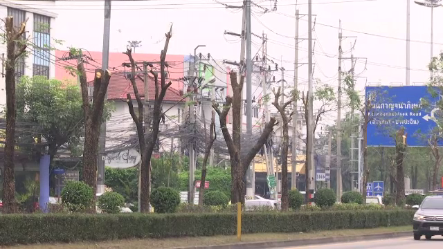  ตั้งข้อสังเกตย้ายต้นไม้ 400 ต้น สร้างรถไฟฟ้าสายแคราย-มีนบุรี