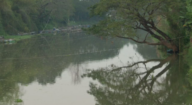 เตือนพบสัตว์คล้ายจระเข้ในแม่น้ำปิง จ.เชียงใหม่ 