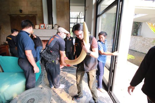 ตร.ประสานตรวจ “ DNA งาช้าง” 2 คู่หลังบุกค้นบ้านเปรมชัย