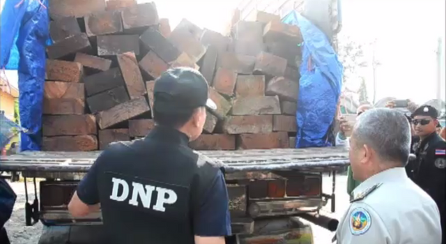 ยึดไม้หวงห้ามกว่า 100 ท่อน เตรียมส่งต่างประเทศ