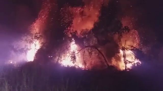 ไฟไหม้ป่าพรุกว่า 30 ไร่ จ.พังงา คุมเพลิงได้แล้ว 