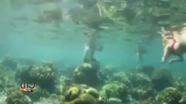 ปรับบริษัทนำเที่ยว ปล่อยนักท่องเที่ยวเหยียบปะการังเกาะพีพี