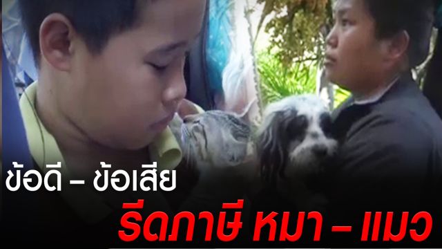 เก็บภาษีเลี้ยงหมา-แมว ใครเห็นด้วย?