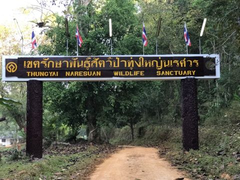เคาะตัวเลขใหม่ 12.7 ล้านบาทค่าเสียหายระบบนิเวศทุ่งใหญ่