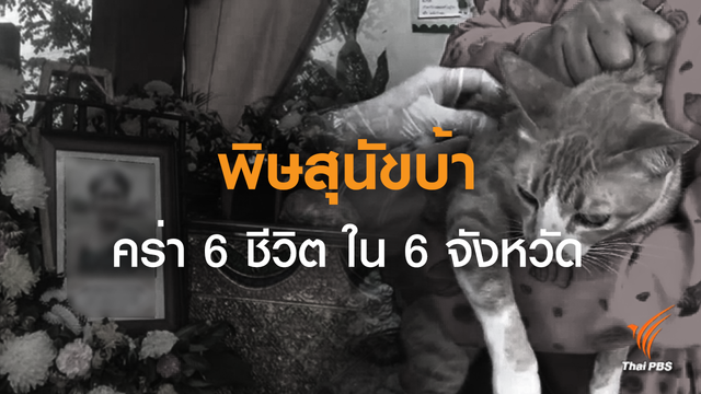 3 เดือน สังเวย 6 ชีวิต พิษสุนัขบ้า