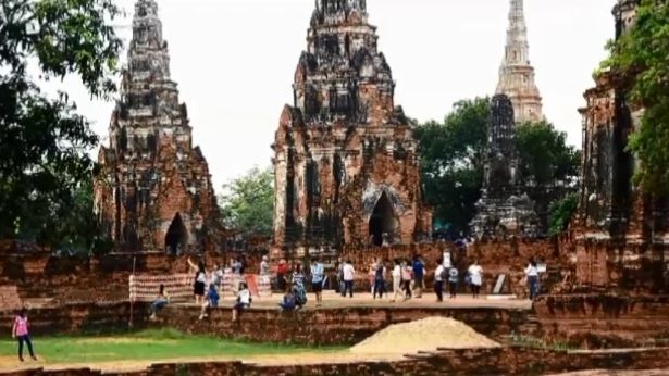 ห้ามสุนัข-แมวเข้าอุทยานประวัติศาสตร์พระนครศรีอยุธยา ป้องกันโรคพิษสุนัขบ้าระบาด