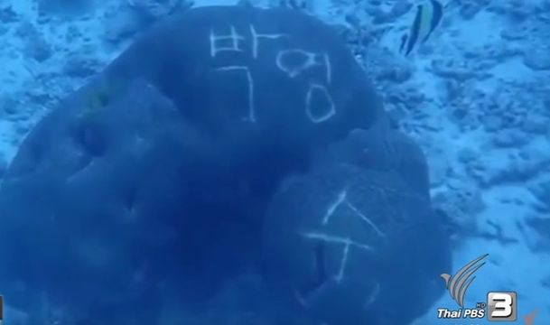 "สิมิลัน"คาดโทษเขียนปะการัง ถึงขั้นถอนใบอนุญาตบริษัททัวร์ 