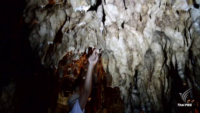 เร่งควานหามือฉก"หินย้อย" ถ้ำดังเมืองตรัง  