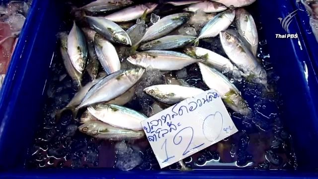 อาหารทะเลปรับราคาขึ้น หลังปิดอ่าวไทย