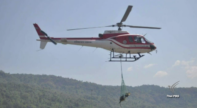 กรมอุทยานฯ สั่งเร่งหาสาเหตุหมีตกเฮลิคอปเตอร์ตายภายใน 30 วัน 