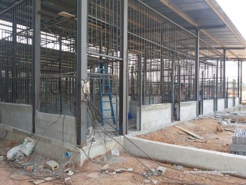 กรมอุทยานฯไฟเขียวใบอนุญาต“ไทเกอร์เทมเพิล” สร้างกรงเลี้ยงสัตว์ที่วัดเสือกาญจนบุรี