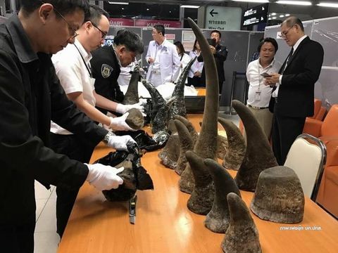 ย้ายด่วนรองอัยการสระบุรี-เอี่ยวคดีลักลอบขนนอแรด มูลค่ากว่า 170 ล้านบาท 