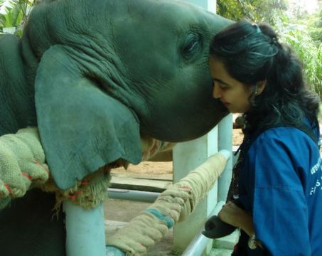 "โซไรดา"ตื้นตันยอดบริจาคทะลุ 20 ล้านบาท