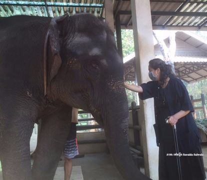 ปมดราม่าช้าง“โซไรดา” จ่อฟ้อง-หนุนตั้งกองทุนเพื่อช้าง