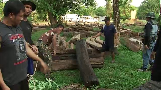 ไทยลุ้นป่าดงพญาเย็น-เขาใหญ่พ้นมรดกโลกในภาวะอันตราย