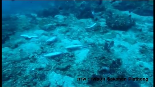 ระเบิด "กองหินริเชลิว" หมู่เกาะสุรินทร์พัง