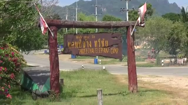 สั่งปิด “แคมป์ช้างทวีชัย” รุกที่อุทยานเอราวัณ 40 ไร่