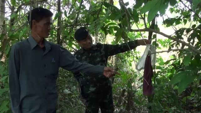 ตรวจสอบ "ป่ากางเกงใน" แหล่งมั่วสุมวัยรุ่นมหาสารคาม